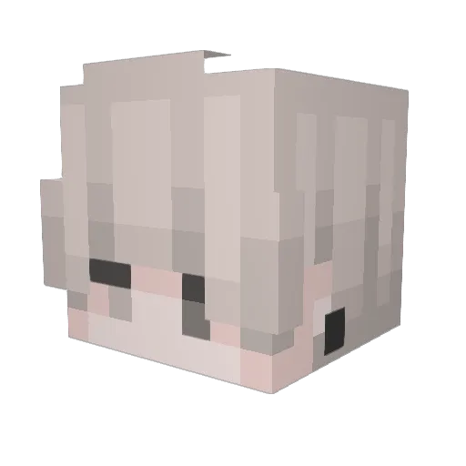 Toffinskiy Minecraft avatar head, 3D render