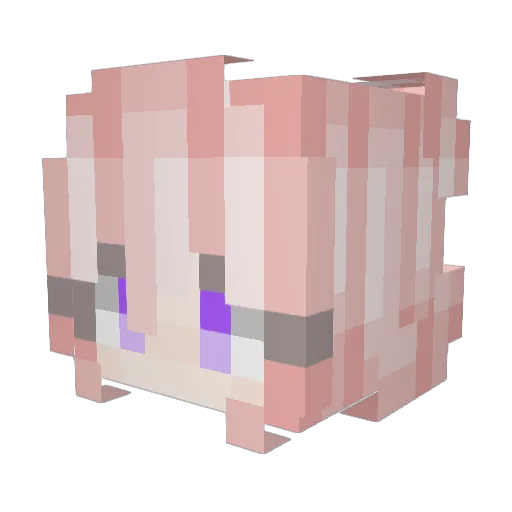 Tofg Minecraft avatar head, 3D render
