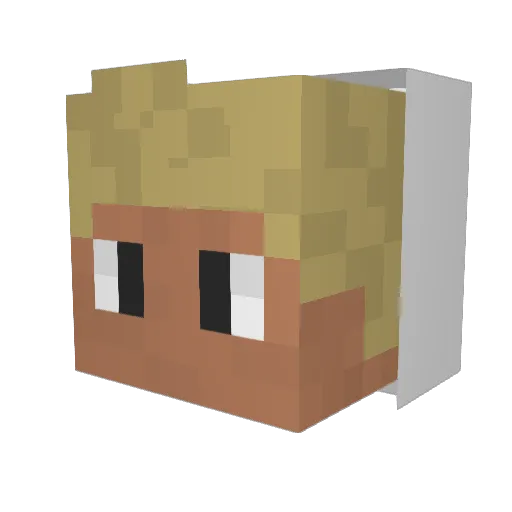 Tofti_ Minecraft avatar head, 3D render