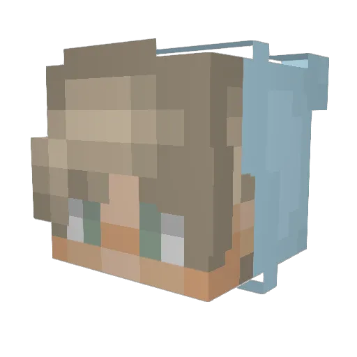 Tofu0408 Minecraft avatar head, 3D render