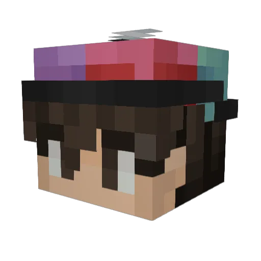TofuGone Minecraft avatar head, 3D render