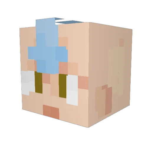 TofuLe Minecraft avatar head, 3D render
