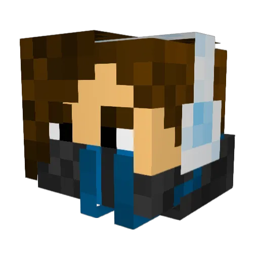 TofuTPA Minecraft avatar head, 3D render