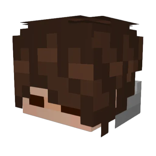 TofuThaMan Minecraft avatar head, 3D render