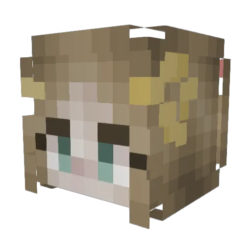 Tofu_Human Minecraft avatar head, 3D render