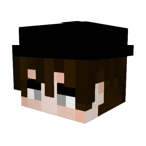 Tofu_Lim_ Minecraft avatar head, 3D render