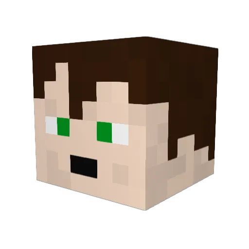 Tofuboi Minecraft avatar head, 3D render