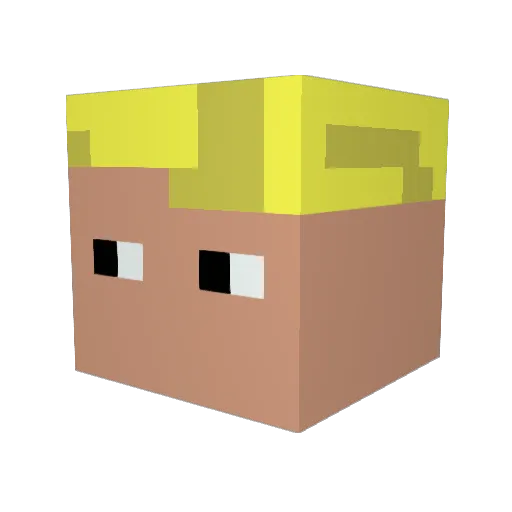 Tofuchs Minecraft avatar head, 3D render