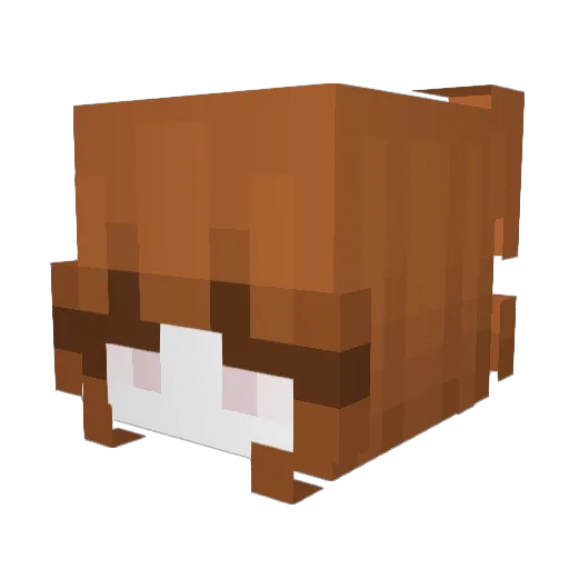 Tofucita Minecraft avatar head, 3D render