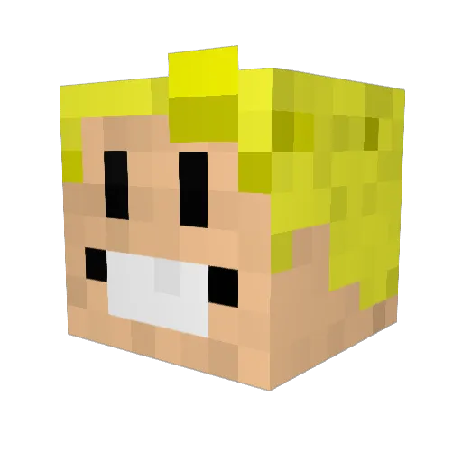 Tofujesus Minecraft avatar head, 3D render