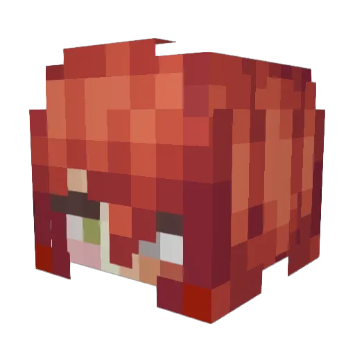 Tofuroki_ Minecraft avatar head, 3D render