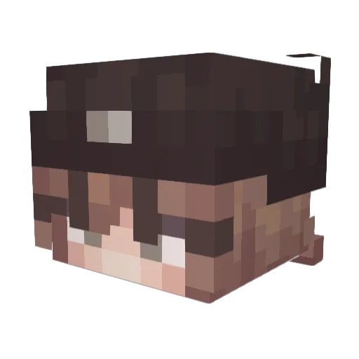 Tofutifs Minecraft avatar head, 3D render