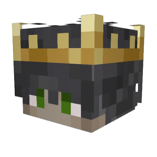 Tofyy_ Minecraft avatar head, 3D render