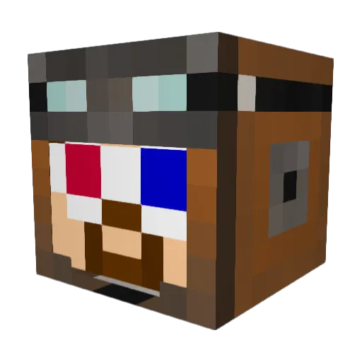 Tog511 Minecraft avatar head, 3D render