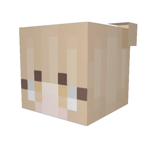 TogaSlayzz Minecraft avatar head, 3D render