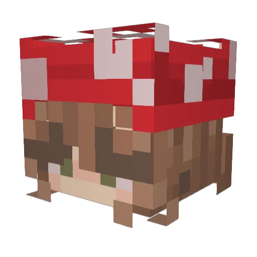 Toga_Tsu Minecraft avatar head, 3D render