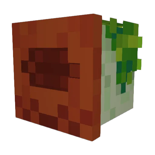 Togbi Minecraft avatar head, 3D render