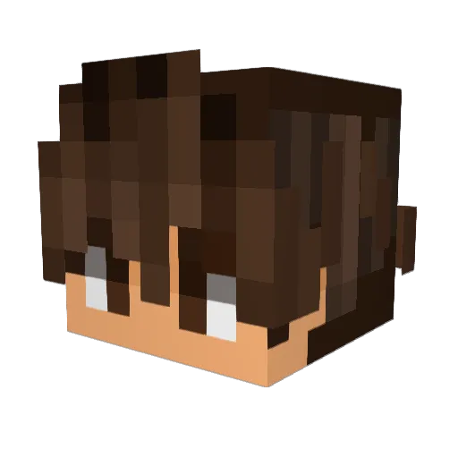 Togez_ Minecraft avatar head, 3D render