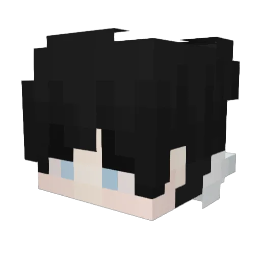 ToggledClient_ Minecraft avatar head, 3D render