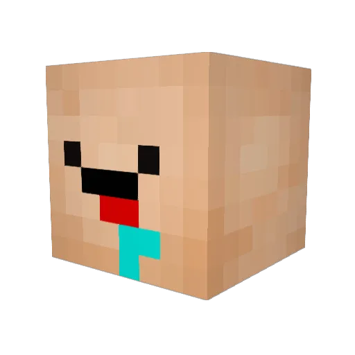 TogglingMC Minecraft avatar head, 3D render
