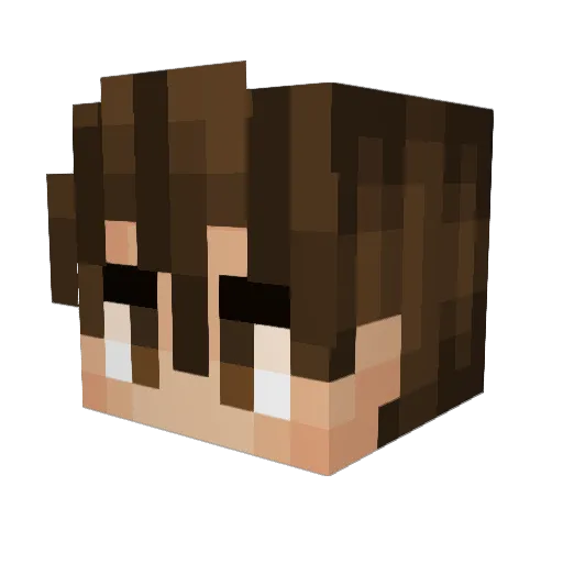 TognaBoss Minecraft avatar head, 3D render
