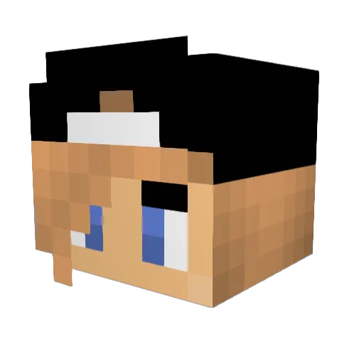 TograW Minecraft avatar head, 3D render