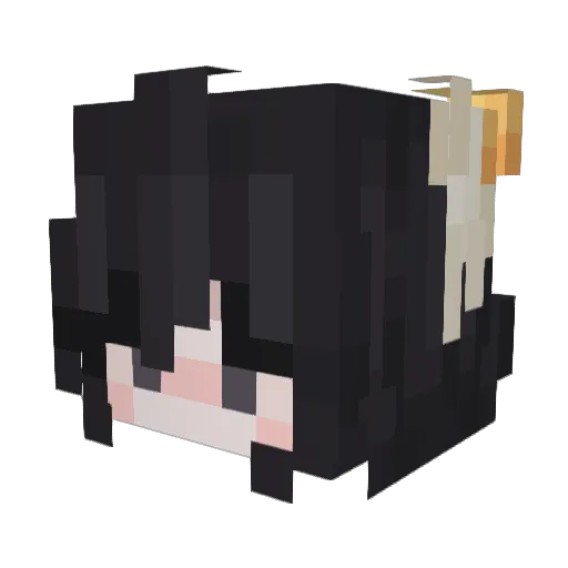 Togwyen Minecraft avatar head, 3D render
