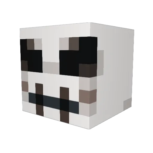 Toh_Toh Minecraft avatar head, 3D render