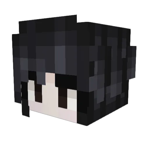 TohaKosan001 Minecraft avatar head, 3D render