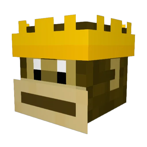 Tohads05 Minecraft avatar head, 3D render