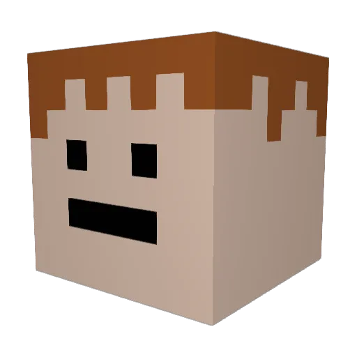 TohleJeBob965 Minecraft avatar head, 3D render