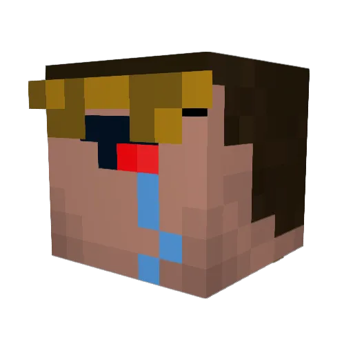 Tohmate1 Minecraft avatar head, 3D render