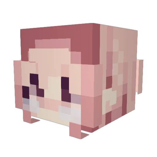 Tohru69 Minecraft avatar head, 3D render