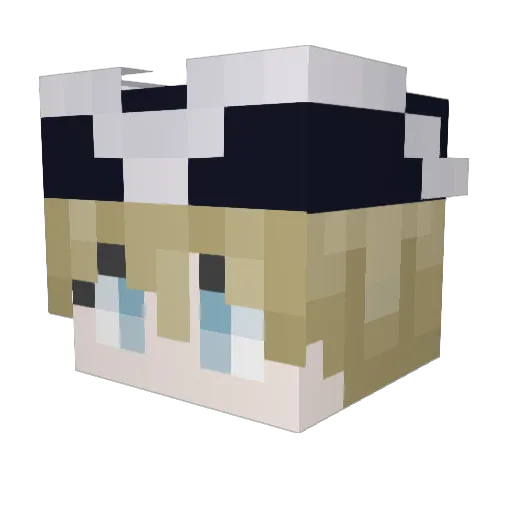 Tohtori_ Minecraft avatar head, 3D render