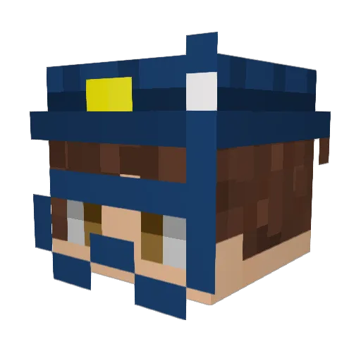 Toicer1127 Minecraft avatar head, 3D render