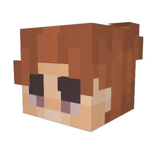 Toikkanen69 Minecraft avatar head, 3D render