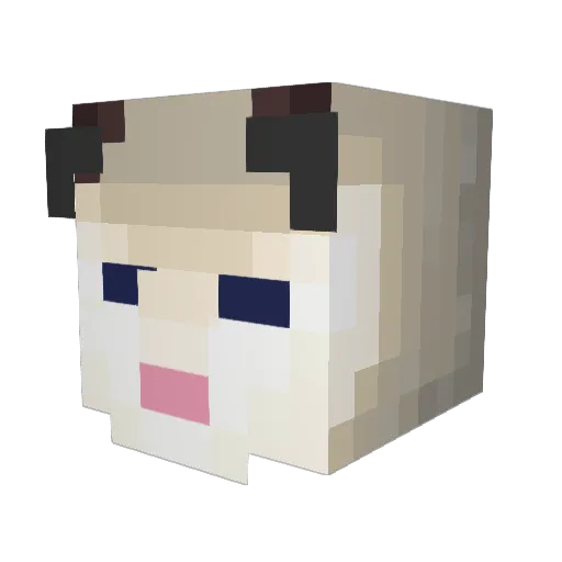 Toiletfish123 Minecraft avatar head, 3D render