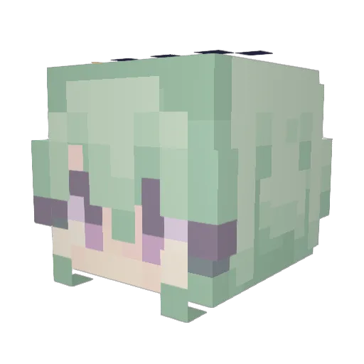 Toiletpaperepic Minecraft avatar head, 3D render