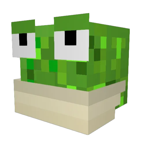 Toinou1709 Minecraft avatar head, 3D render