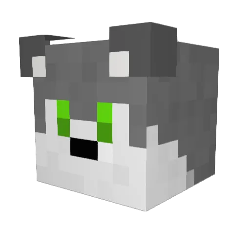 Toinou_Toinou Minecraft avatar head, 3D render