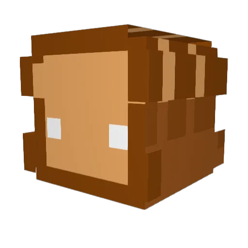 Toisty Minecraft avatar head, 3D render