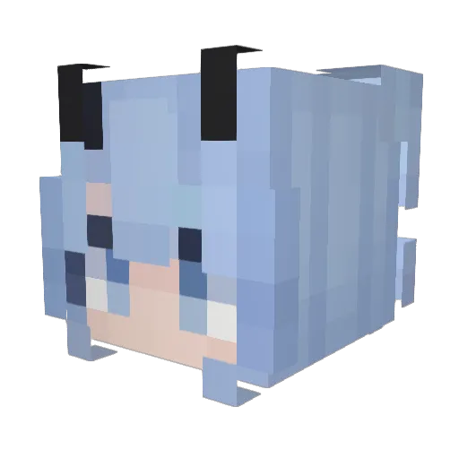 Toix22 Minecraft avatar head, 3D render
