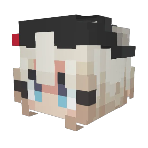 Toizarasu7450 Minecraft avatar head, 3D render