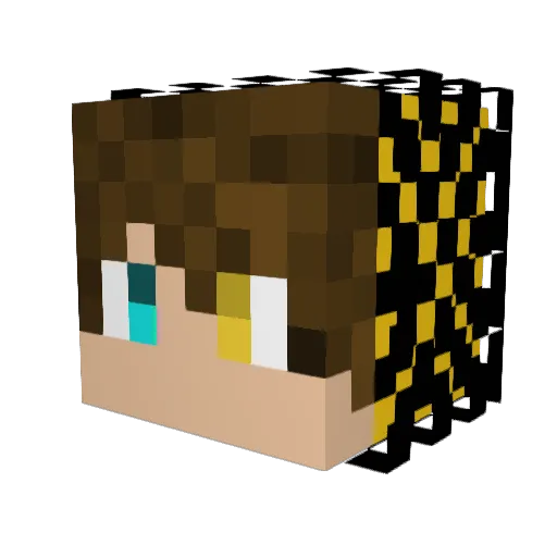 Toja200 Minecraft avatar head, 3D render