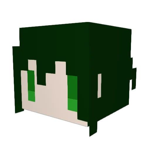 Tojiru0501 Minecraft avatar head, 3D render
