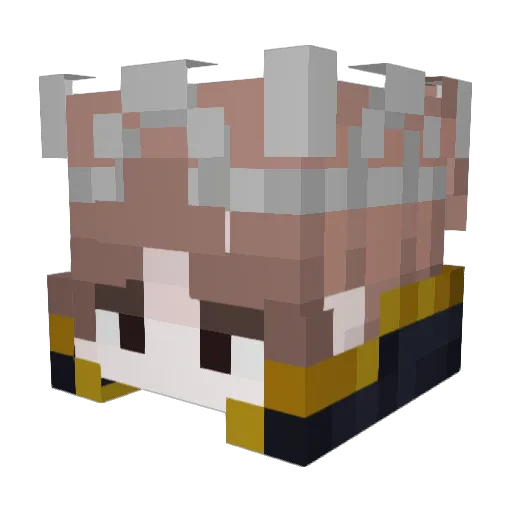 Tok1chi Minecraft avatar head, 3D render