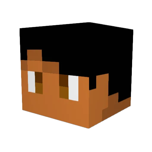 Tokai_Ro Minecraft avatar head, 3D render