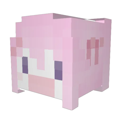 Tokape Minecraft avatar head, 3D render