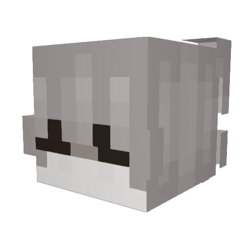 Tokarewicz Minecraft avatar head, 3D render