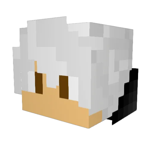 Tokawa_ Minecraft avatar head, 3D render